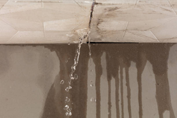 Professional Structural Drying technician working in Onekama, MI